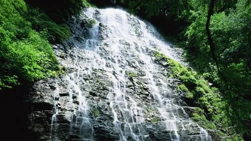 节能高端